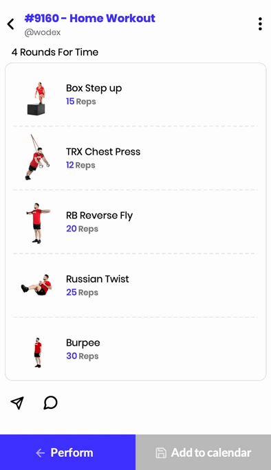 Home Workout of 241128 Home Workout of 241128
