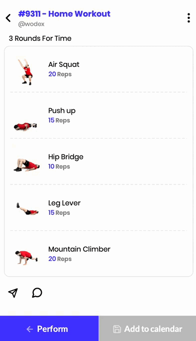 Home Workout of 241213 Home Workout of 241213