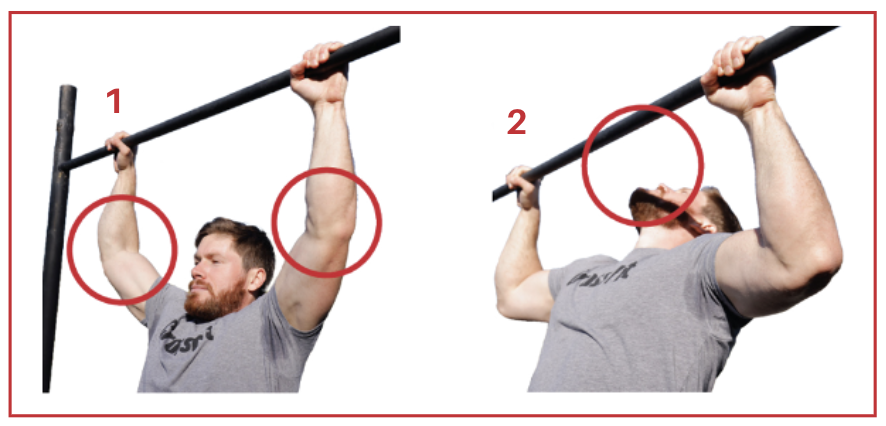 Pull up - Common No Reps Pull up - Common No Reps