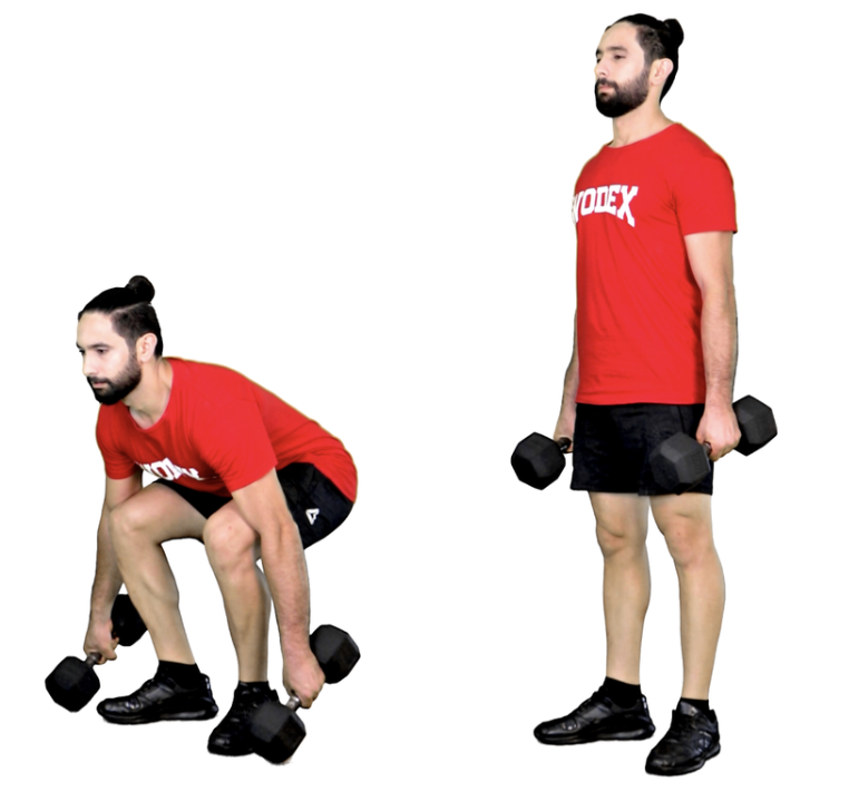 DB Deadlift
